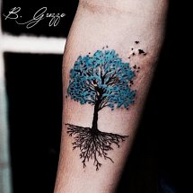 Albatroz Tattoo Club 1