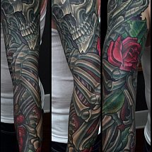 Terry Ribera San Diego 1