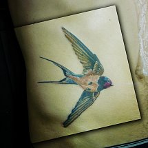 TATTOO STUDIO 1