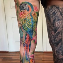 Bombshell Tattoo Galerie 1