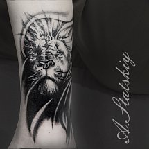 BLACK FOX 1