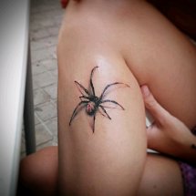 rakhiv_tattoosalamandra 1