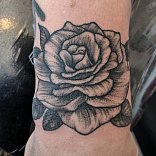 Dave McNeil