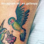 Angeloop
