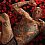 Tom Tatto