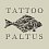 Tatoo Paltus
